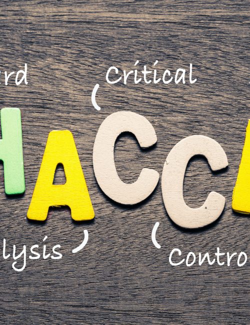 HACCP wooden alphabets on wood background with text acronym (Hazard Analysis Critical Control Points)